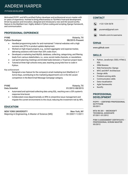Attractive Software Developer Resume Google Docs Template: Free and ATS Friendly
