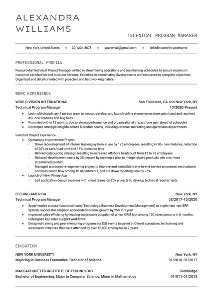 Minimalist Technical Program Manager Resume Google Docs Template: Free and ATS Friendly