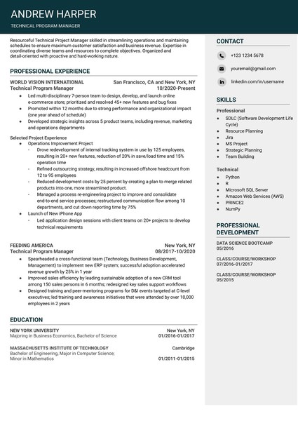 Attractive Technical Program Manager Resume Google Docs Template: Free and ATS Friendly