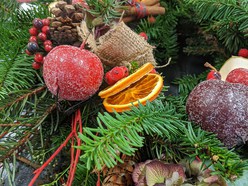 4 Ways to Decorate Your Christmas Tree in an Eco-Friendly, Free and Stylish Way